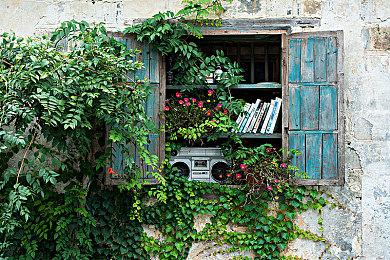 《宝可梦：大集结》圣诞节活动预告 新宝可梦“快龙”即将上线